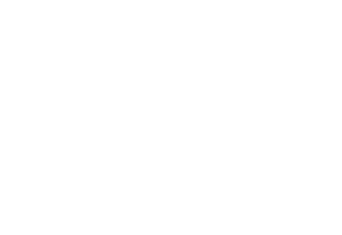 skalvija